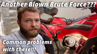 Kawasaki Brute force 750 wont move and is Losing oil [upl. by Anirehc]