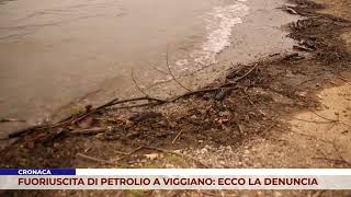 CRONACA FUORIUSCITA DI PETROLIO A VIGGIANO ECCO LA DENUNCIA [upl. by Eamanna]