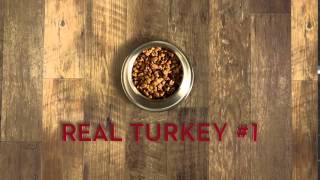 Purina ONE® True Instinct Turkey and Venison Dog Food [upl. by Nolita863]