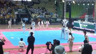 Kukkiwon Team Demonstration Part 02 [upl. by Cornelle]