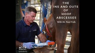 The Ins and Outs of Hoof Abscesses with Dr Neal Valk [upl. by Zipporah]