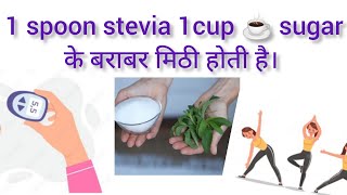 💯what is STEVIA  How is Stevia made  Interesting facts [upl. by Oler]