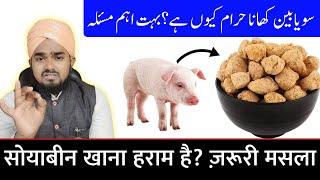 😳 Soyabin Khane Walo Suno Soyabin Khana Haram Kyu Hai  सोयाबीन खाना हराम क्यों है [upl. by Hyams555]