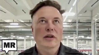 Elon Musk’s Childlike Libertarian Fantasy That Government Is The Biggest Corporation [upl. by Ellenad]