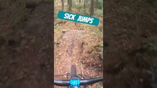 Fun small jumps at Puddletown forest 😃😃 [upl. by Henryson]