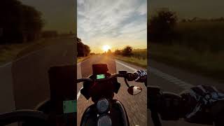 Low rider s Sunset Cruise stage2 dyna clubstyle harleydavidson fxdb fxlrs streetbob wheelie [upl. by Atteuqihc916]