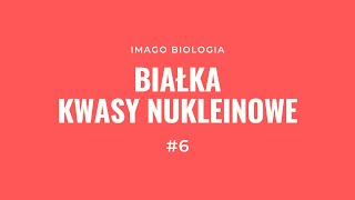 Białka i kwasy nukleinowe [upl. by Ganley457]