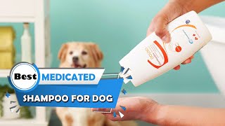 5 Best Medicated Shampoos for Dogs Review 2023  Medicated Shampoo for Dog With Skin Allergies [upl. by Hussein802]