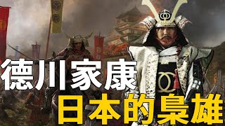 日本戰國時代霸主！德川家康一生忍辱負重，最終統一天下統治全國 [upl. by Elisabetta]