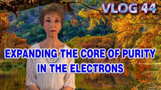 VLOG 44  EXPANDING THE CORE OF PURITY IN THE ELECTRONS [upl. by Haas]