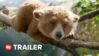 Paddington in Peru Teaser Trailer 2025 [upl. by Johm]