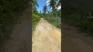 This road is horrible 🫣islandlife shorts [upl. by Ahmad]