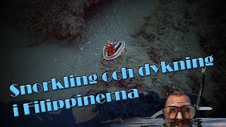 Dykning och snorkling i Filippinerna [upl. by Ahtreb]