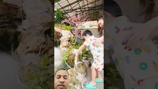 Animal danger water👹👹 animals funny cute Vitabright [upl. by Eemiaj]