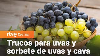 Los mejores trucos de las uvas y receta de sorbete de uvas y cava  La Hora de la 1  RTVE Cocina [upl. by Ihcas]