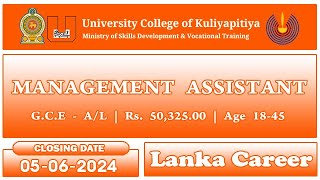 Management Assistant Job Vacancies 2024 University College Of Kuliyapitiya [upl. by Airdnazxela]