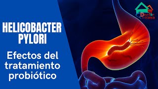 Probióticos y Helicobacter Pylori [upl. by Alrrats]