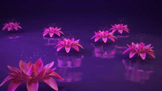 3D Lotus flower water reflection nature animated background video  Copyright FREE video [upl. by Thenna]