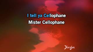 Karaoke “Mister Cellophane” John C Reilly [upl. by Ahsiat]