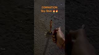 CORNATION Sky Shot crackers trending firecracker diwali viral shorts shortsfeed shortvideo [upl. by Prochoras588]