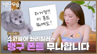 공지 태연 손글씨 폰트 무료 나눔의 건  TAEYEON 태연 탱나무숲 EP07 폰트 [upl. by Noeht368]