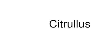 How to pronounce Citrullus [upl. by Snodgrass]