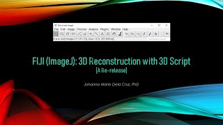 FIJI ImageJ 3D Reconstruction with 3D Script A Rerelease [upl. by Llirrehs110]