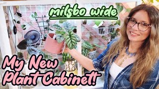 My New IKEA Greenhouse Cabinet  Milsbo Wide  Plants and Setup Tour [upl. by Ocirderf280]