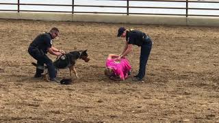 K9 Demo Clovis Rodeo 2018 [upl. by Pascasia]