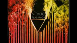 vitalic  second lives [upl. by Lacombe]