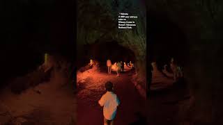 The Boys Explore a Lava Tube Cave on the Big Island 🌋 travel volcanoes shorts bigisland [upl. by Ennavoj]