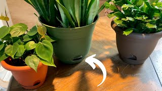 Self Watering Pots Explained  Easy Plant Care [upl. by Borries]