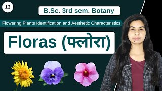 Floras फ्लोरा  हर्बेरियम के कार्य  B Sc 3rd sem Botany [upl. by Naleek]