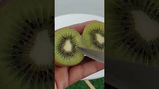 Kiwi Seeds Extraction From Fruit 🥝 kiwi kiwifruits seedsextraction [upl. by Auqinihs463]