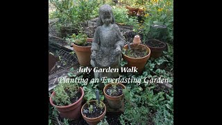 July Cottage Garden Walk Planting an Everlasting Garden [upl. by Nilhtac]