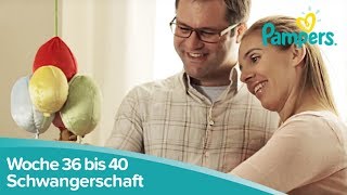 Schwangerschaftswoche 36 bis 40  Kurz vor der Geburt l Pampers [upl. by Imas]