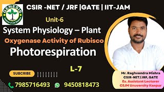 Oxygenase Activity of Rubisco  Photorespiration  Plant Physiologygenesisinstitute [upl. by Lindo717]