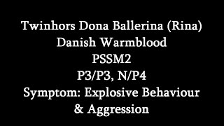 Symptoms Of PSSM2 Explosive Behaviour amp Aggression Twinhors Dona Ballerina [upl. by Bakki47]