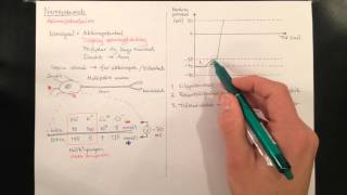 Nervsystemet aktionspotentialen [upl. by Akema50]