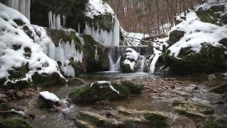 A Mecsek legszebb tájain 1rész Az Óbányaivölgy magyar amatőr természetfilm Full HD [upl. by Thurber]