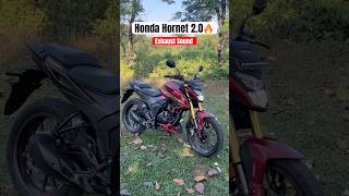 2024 Honda Hornet 20 Exhaust Note amp Quick WalkAround  Hornet 20  shorts hondahornet2 honda [upl. by Eibbed]