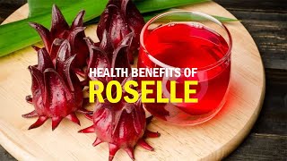 THE HEALTH BENEFITS OF ROSELLE [upl. by Lazaruk]