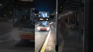 SMRT A95 CAMEOSG5748G MAN A95 E5 on svc 196 friendly bc included [upl. by Katusha460]