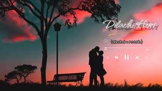 Dilachi hori  lofi  slowed reverb  love  dilachi hori full song  lofi song [upl. by Sandro230]