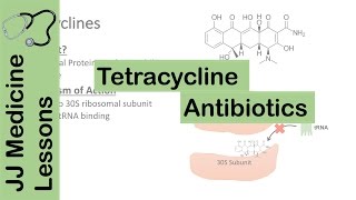 Tetracycline Antibiotics [upl. by Virgil517]