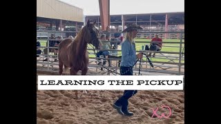 How To Teach Your Horse to Curbside [upl. by Ande]