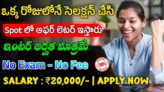 Latest Jobs In Telugu Work From Home Jobs 2024  Jobs In Hyderabad  Infinx Recruitment 2024 [upl. by Mccarty]