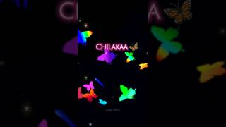 Chilaka oo rama chilaka song whatsapp status lyrics song ❤shorts [upl. by Nerw]