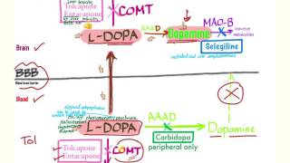 Parkinson’s Pharmacology  Neurology [upl. by Enehs]