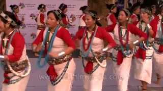 Nyishi women dancers from Arunachal Pradesh perform Rikham Pada dance [upl. by Animrac610]